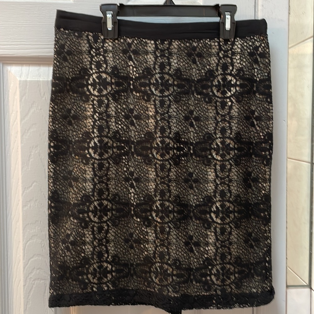 The Limited Lace Skirt